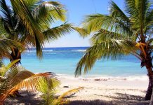 Île de la Dominique : tourisme nature en sécurité