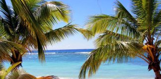 Île de la Dominique : tourisme nature en sécurité