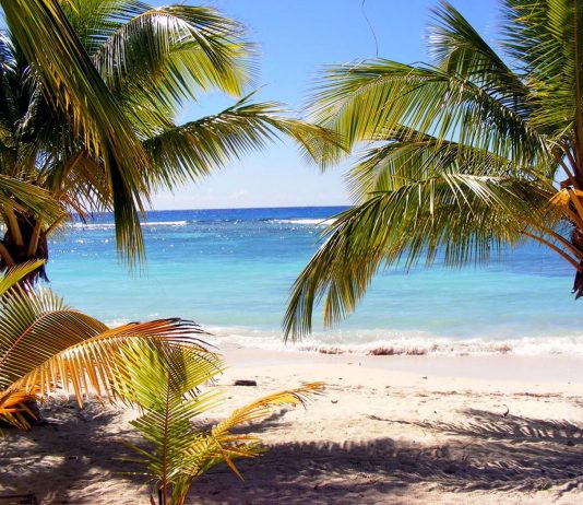 Île de la Dominique : tourisme nature en sécurité